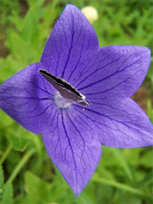 SaveImg0[20050519204214].jpg